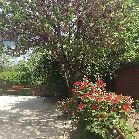 Bed & Breakfast L'escale Du Loup Blanc