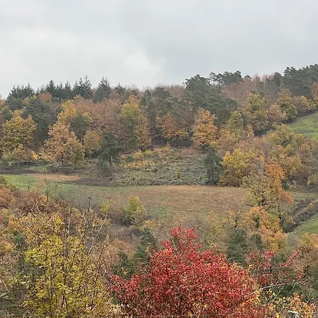 Bed & Breakfast L'escale Du Loup Blanc *